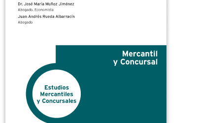 El Plan de continuación en los procedimientos especiales de microempresas
